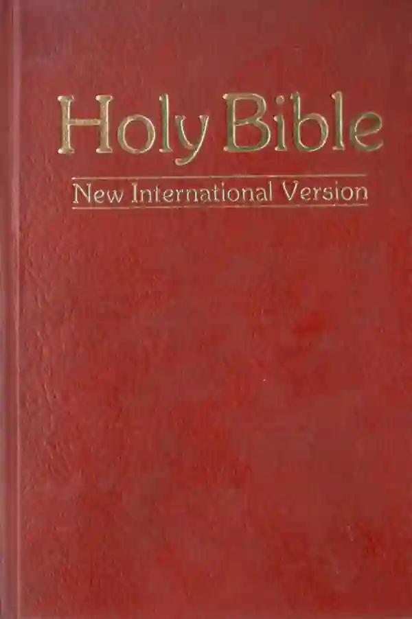 Holy Bible - NIV