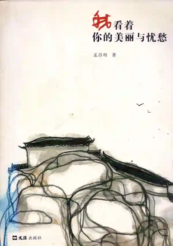 我看着你的美丽与忧愁