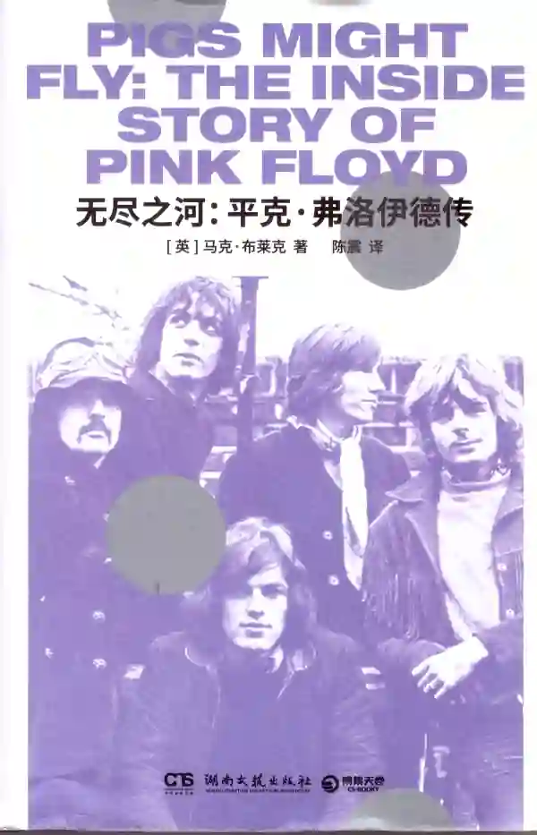 无尽之河：平克·弗洛伊德传